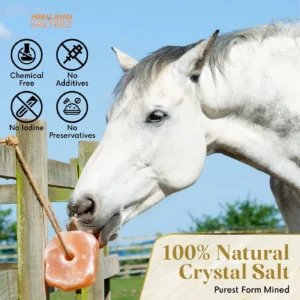 Salt Licks for Horses - Equine Lick Block 3-4 lbs