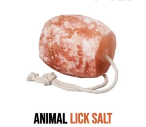 Salt Licks for Animal - Salt Lick Blocks 1-2 kg
