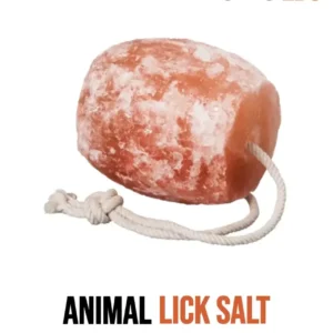 Salt Licks for Animal - Salt Lick Blocks 1-2 kg