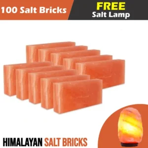 Himalayan Salt Bricks 8" x 4" x 2" - Pack of 100 with Free Salt Lamp