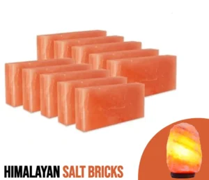 Himalayan Salt Bricks 8" x 4" x 2"