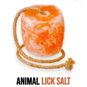 Salt Lick for Animal- Salt Lick Blocks 3-4 kg